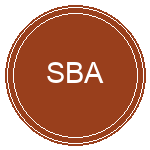Sport Boys Association