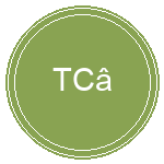 Thể Công – Viettel