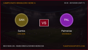 Nhận định, soi kèo Santos vs Palmeiras ngày 28/10/2026